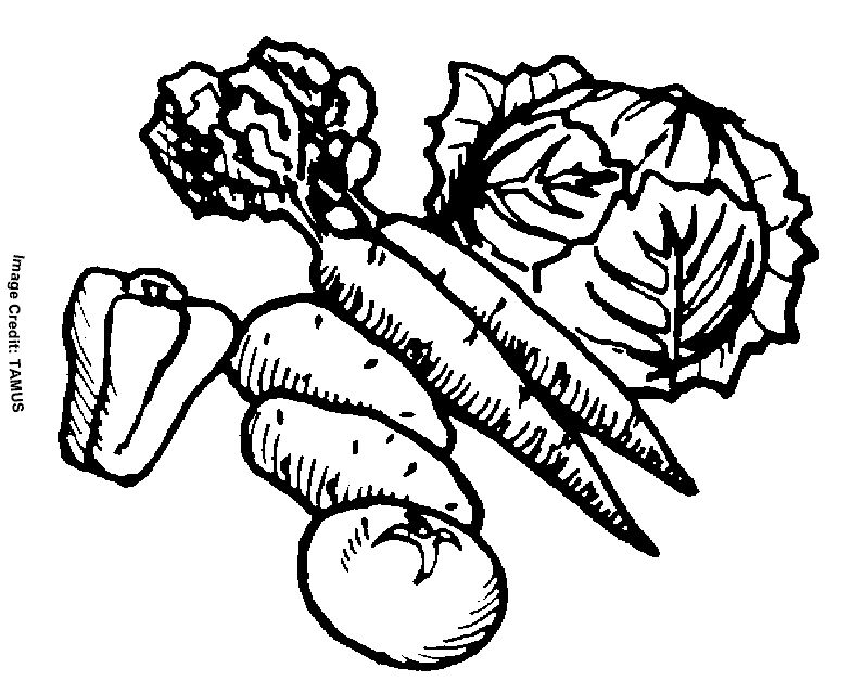 Printable Vegetable Coloring Pages - Coloring Home