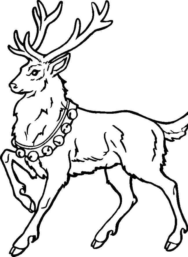 Coloring Pages Of Reindeer - Coloring Home
