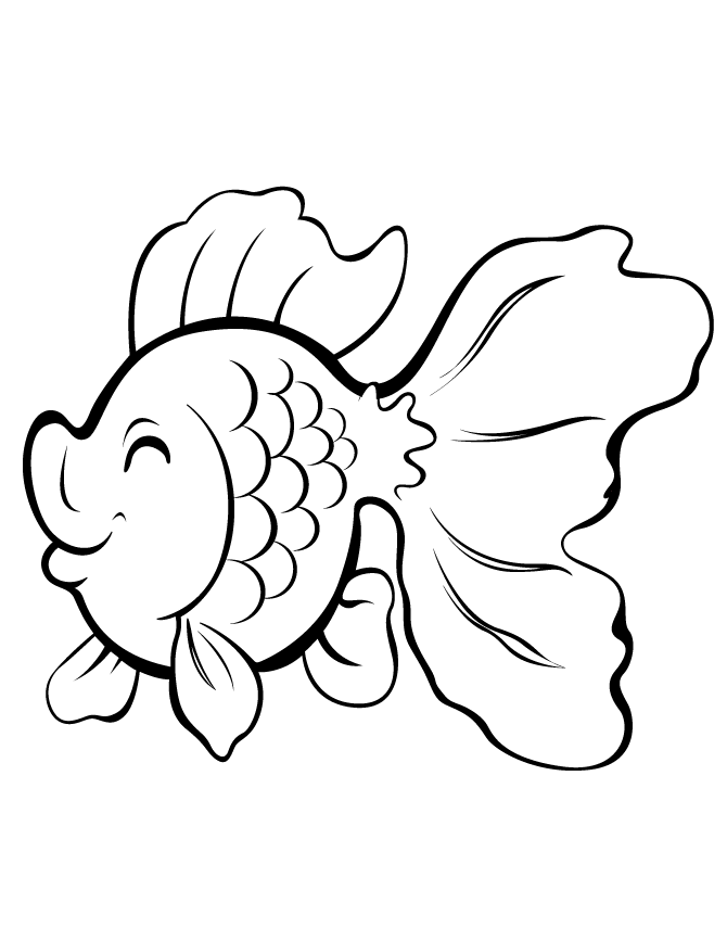 Gold Fish Coloring Page Images & Pictures - Becuo