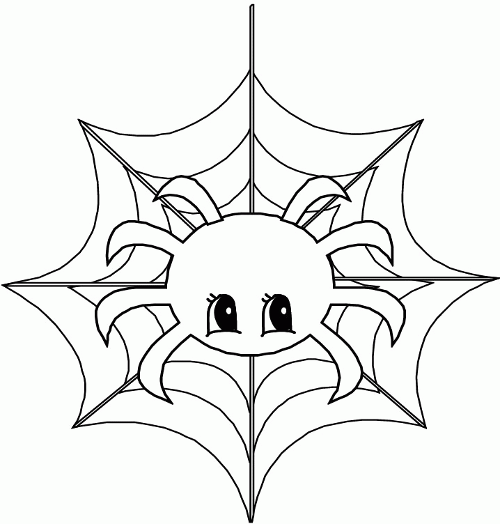 Animal Spider Coloring Page - Animal Coloring Pages : Coloring 