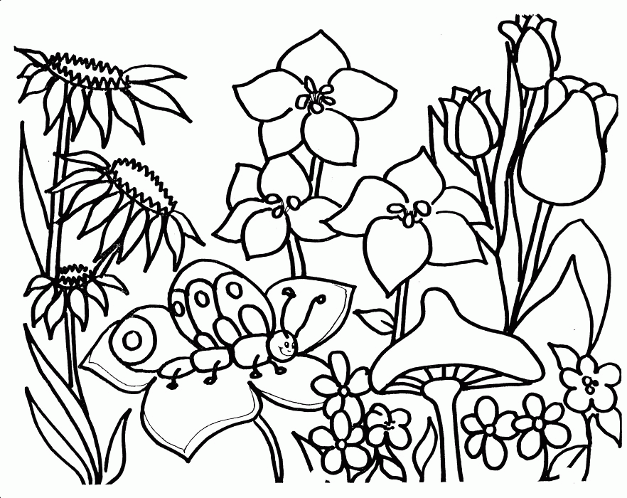 Flower Garden Coloring Pages For KidsBetter Homes and Gardens 