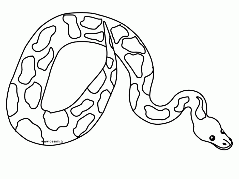 Coloring Pictures Of Snakes - Coloring Home