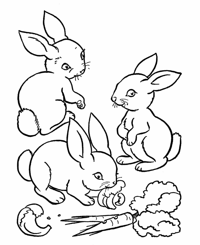 Farm Animal Coloring Pages | Printable rabbits eating carrots ...