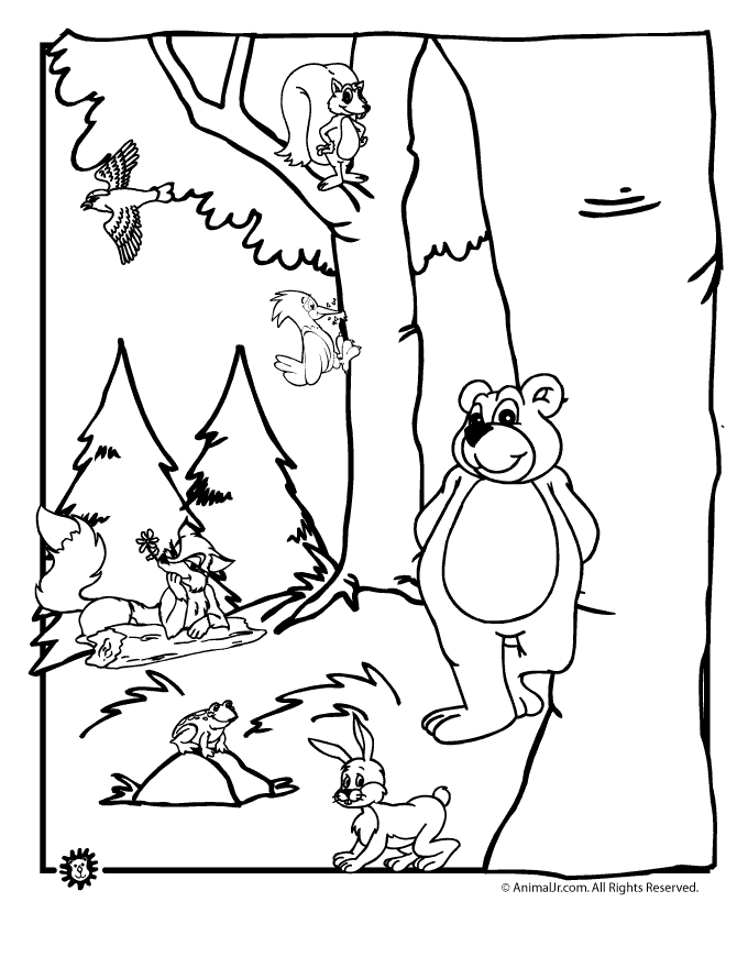 forest-coloring-pages-printable-coloring-home