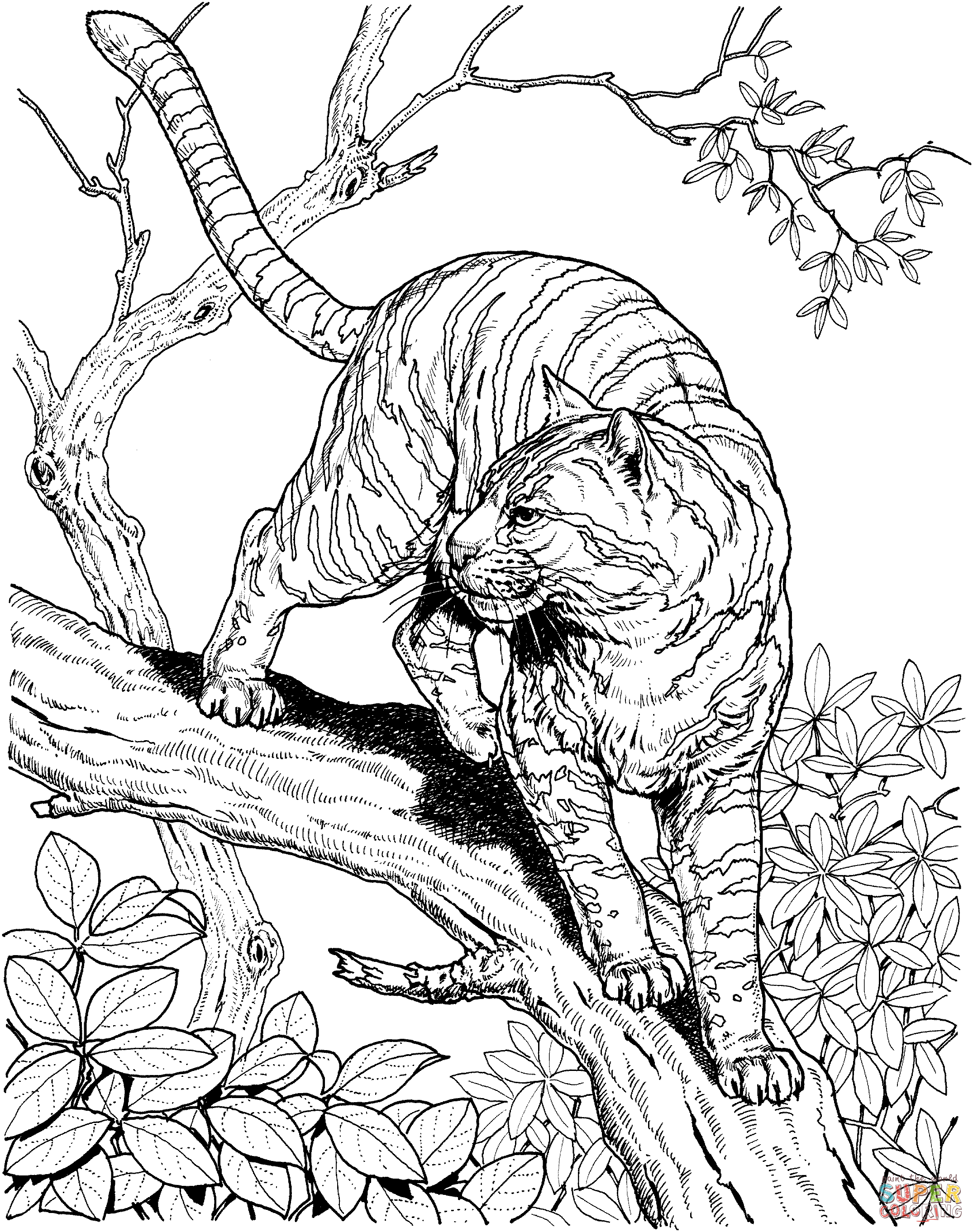 Cute Baby Tiger Coloring Pages Coloring Home