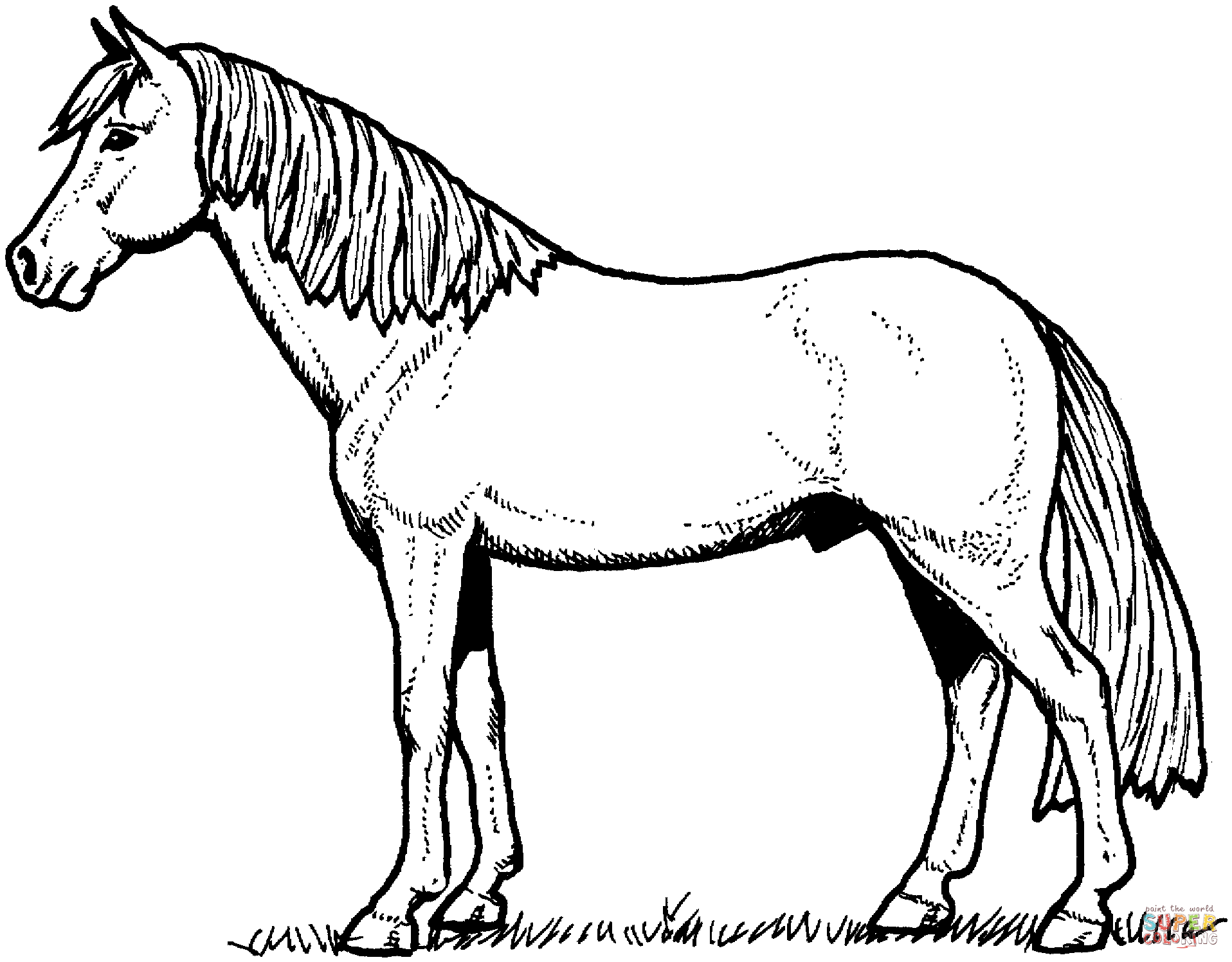 Free Printable Realistic Horse Coloring Pages Coloring Home