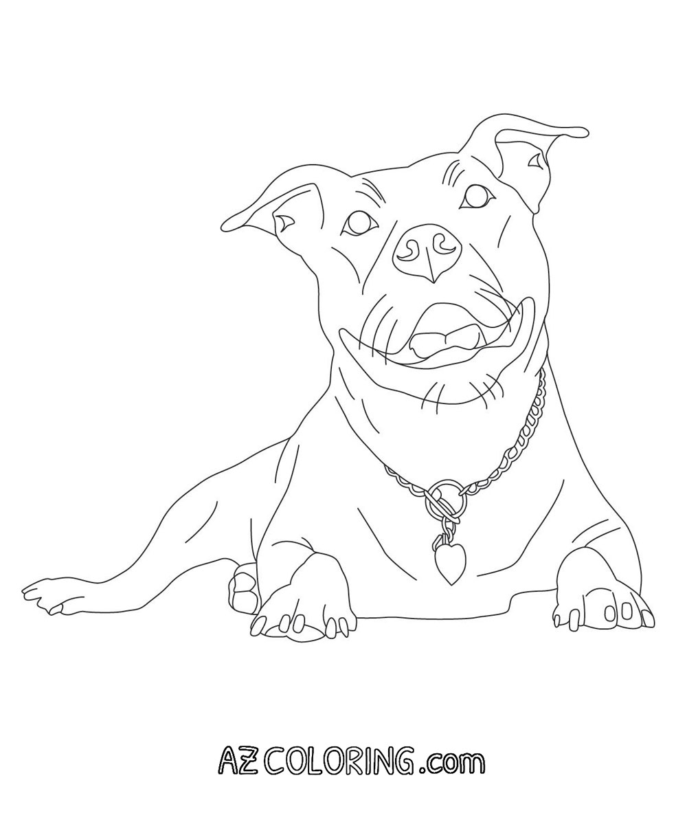 Coloring Pages Of Pitbulls - Coloring Home