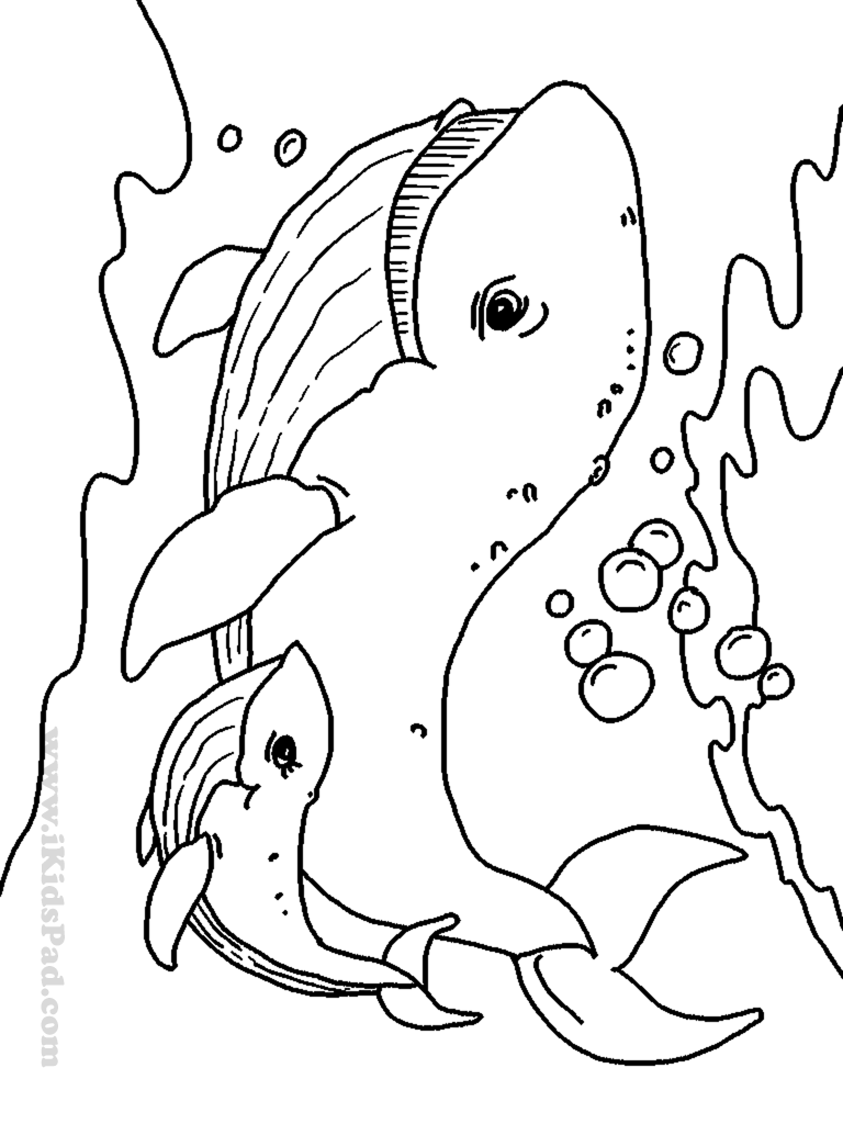 Free Printable Coloring Pages Baby Animals - Coloring Home