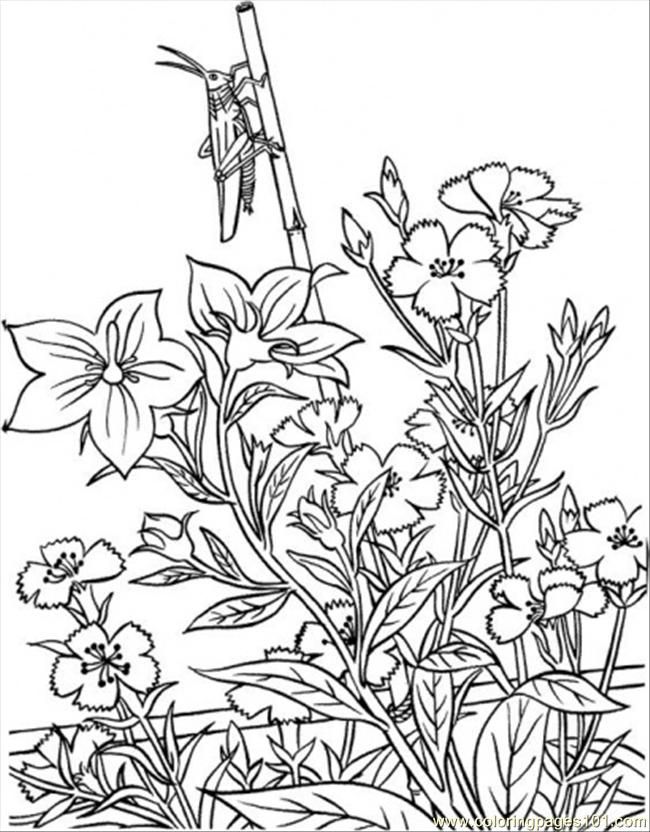 Coloring Pages Of Flowers And Gardens - Coloring