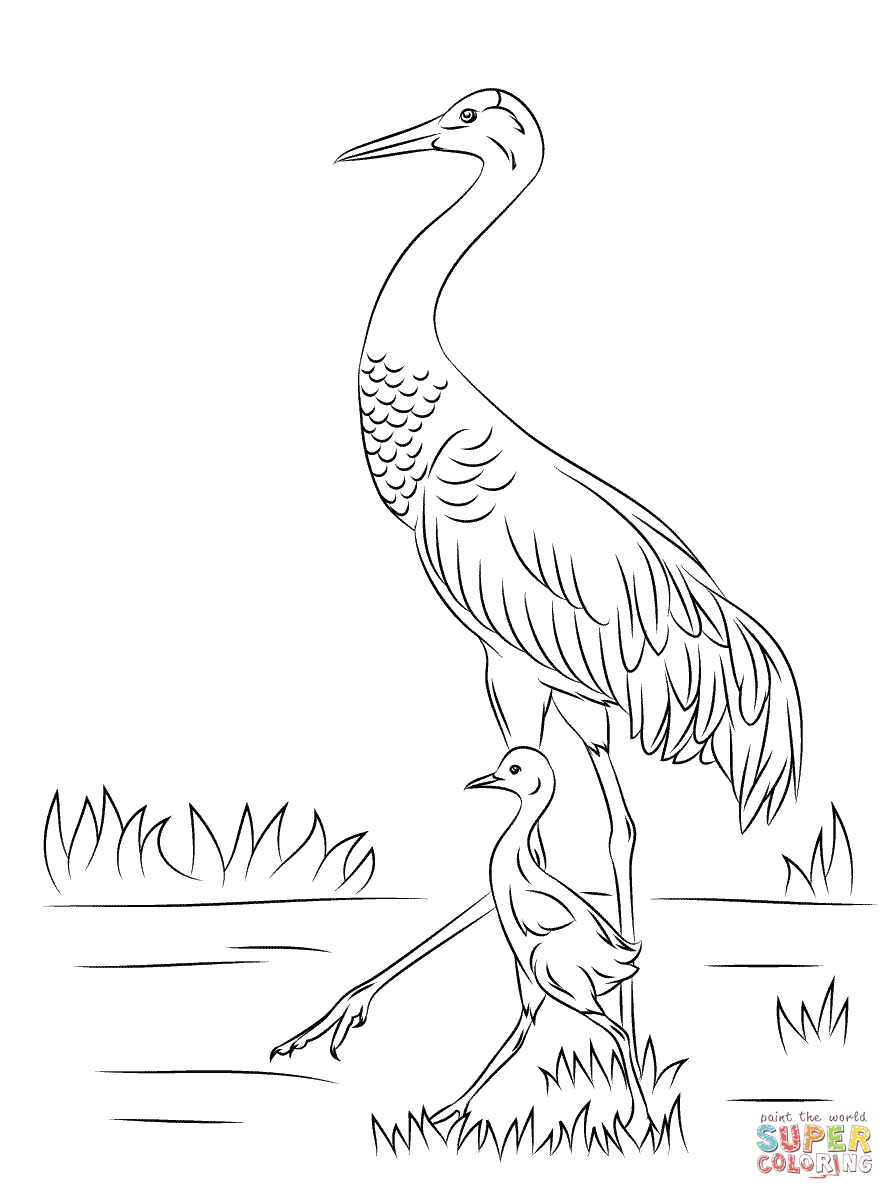 Cranes coloring pages | Free Coloring Pages