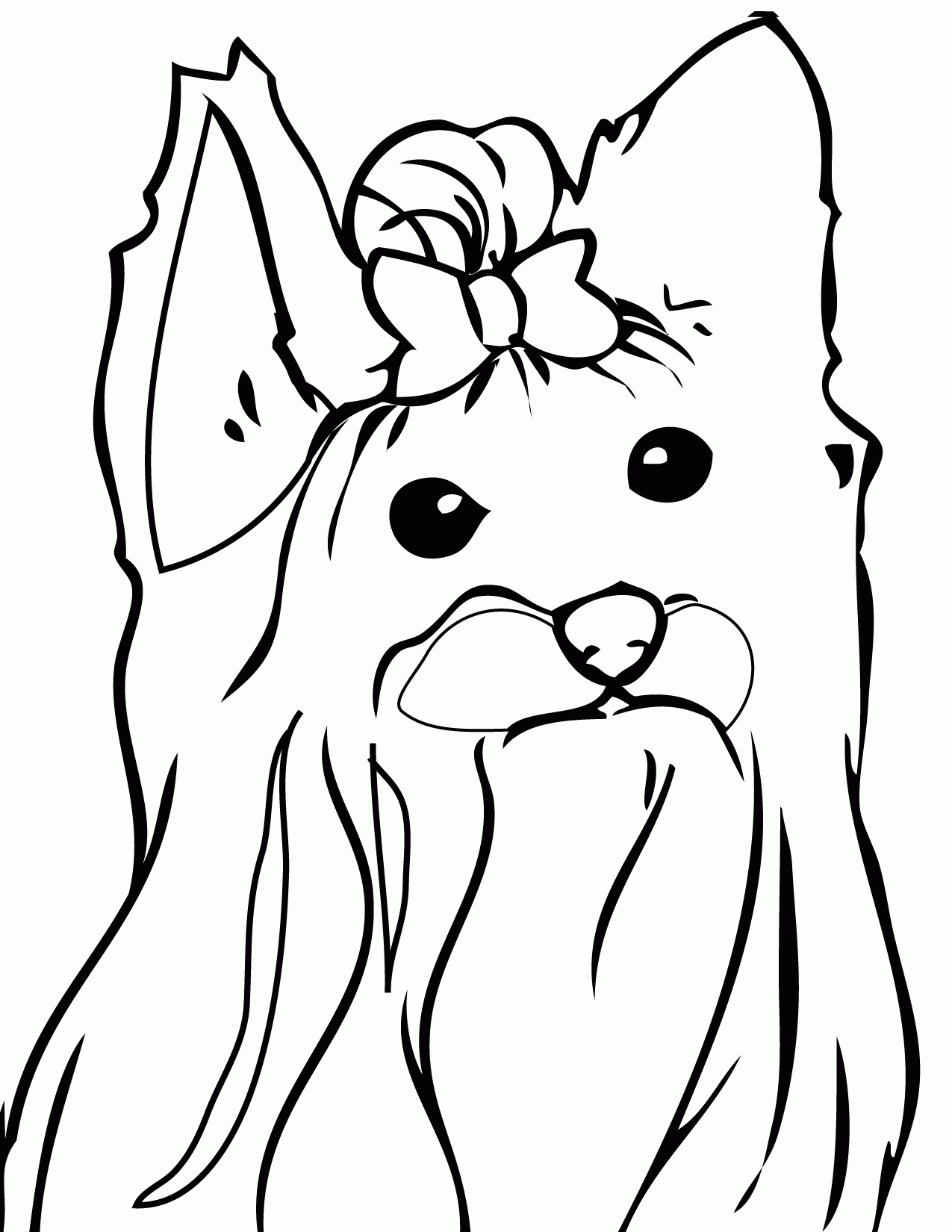 Yorkie Coloring Page Yorkshire Terrier