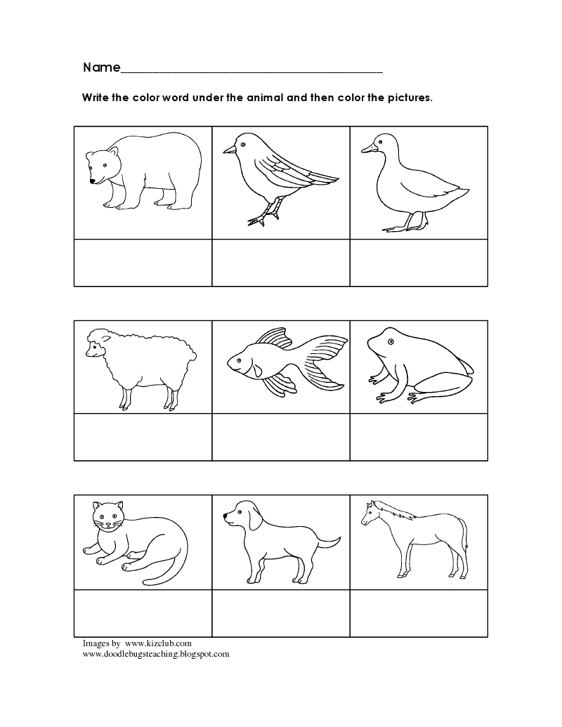 Brown Bear Coloring Page Eric Carle - Coloring Home