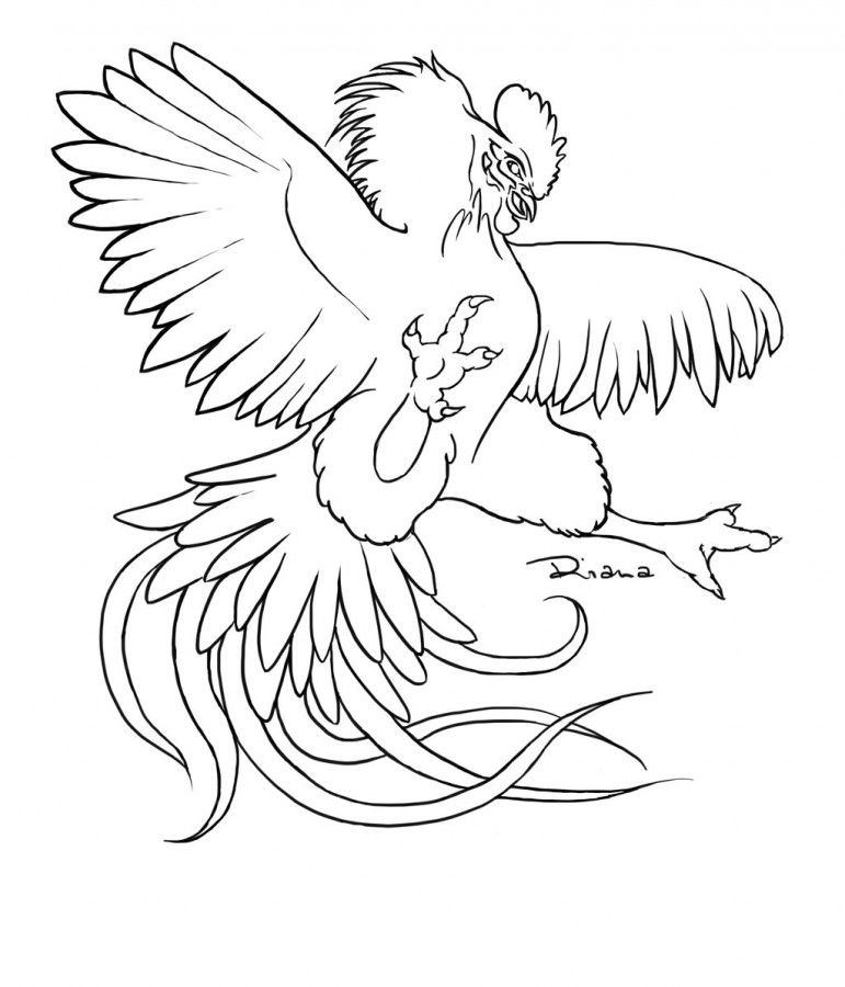 Rooster Coloring Pages