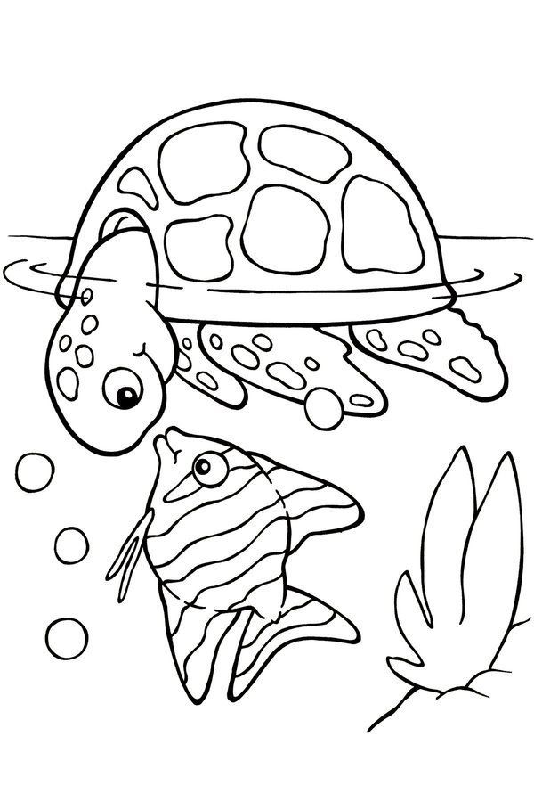 1000+ Ideas About Animal Coloring Pages On Pinterest | Colouring