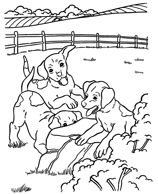 Dogs Coloring Pages Kids Adults Home