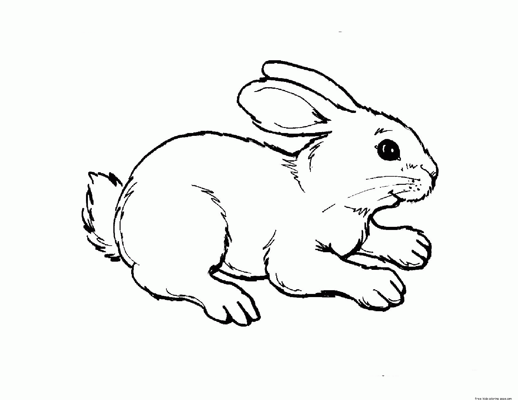 Free Coloring Pages Baby Animals - Coloring Home