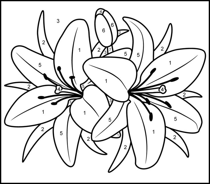 Adult Coloring Pages Printable Paint By Numbers - Coloring ...