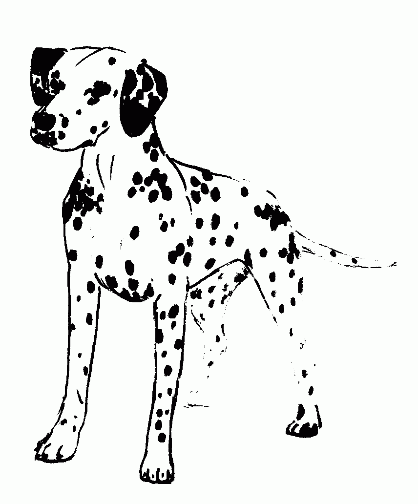 Dalmatian Dog Coloring Page - Coloring Home