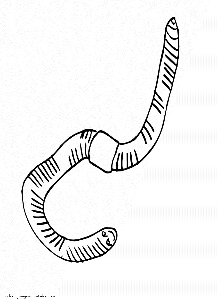Worm Coloring Pages - Coloring Home