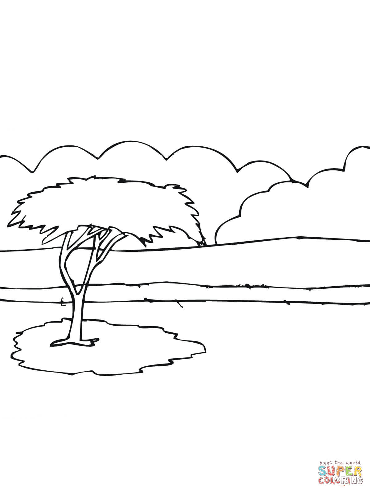 African Acacia Tree coloring page | Free Printable Coloring Pages
