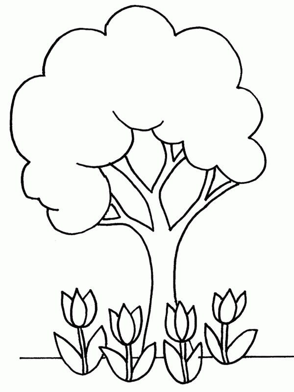 Plant Coloring Pages - Coloring