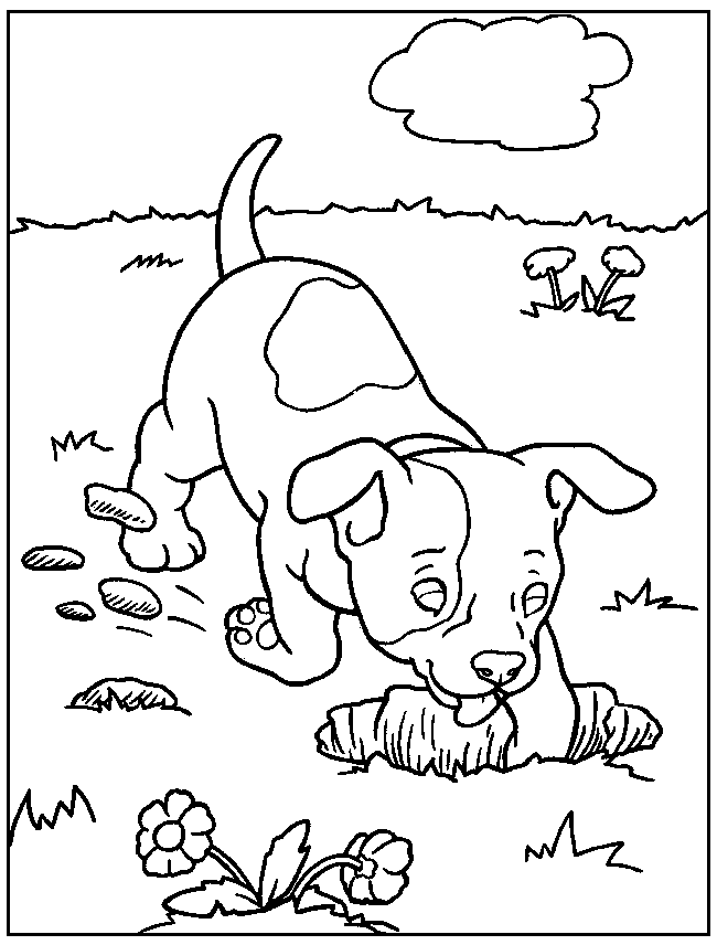Great Dane Dog Coloring Pages - Coloring Home