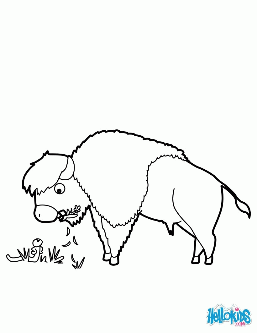 FOREST ANIMALS coloring pages - Raccoon blowing bubbles