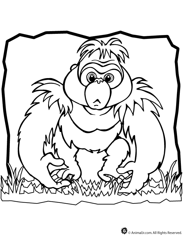 Gorilla Coloring Page Classroom Jr Gorilla Coloring Pages ...