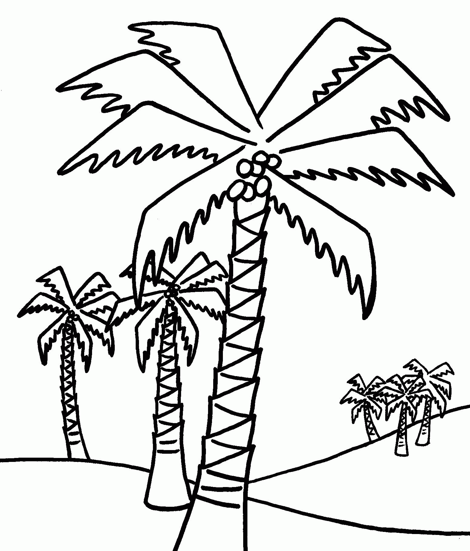 palm trees coloring pages - High Quality Coloring Pages
