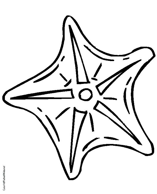 Starfish Coloring Page | Clipart Panda - Free Clipart Images