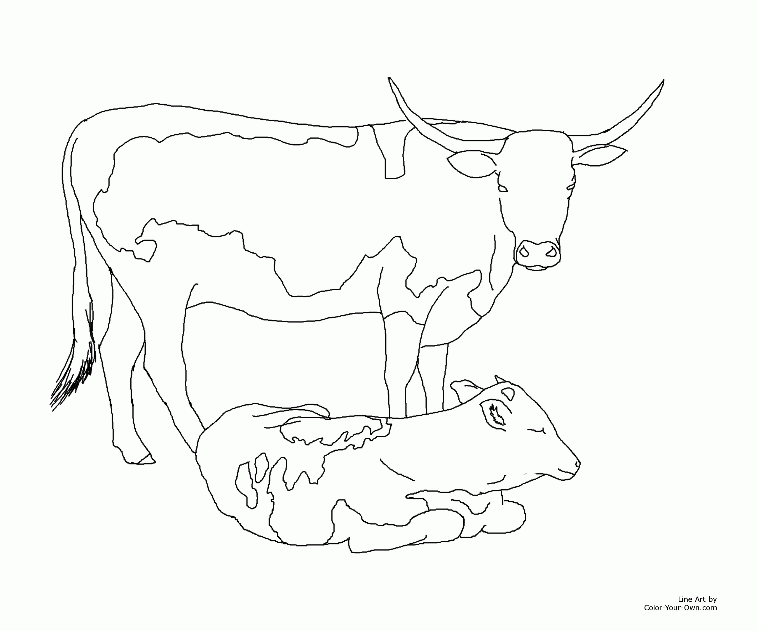 Texas Longhorn Coloring Page - Coloring Home