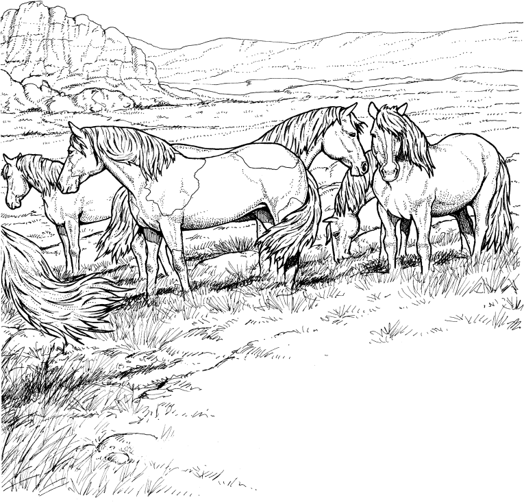 Free Printable Horse Coloring Pages Adults Home Related Wild Item