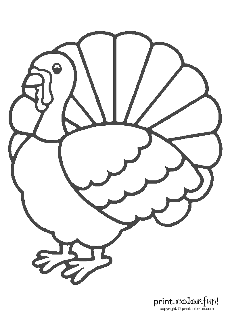 Coloring Page Of A Turkey For Preschool - Coloring Home