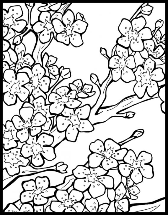 Free Cherry Blossom Coloring Page To Print Out | Flower ...