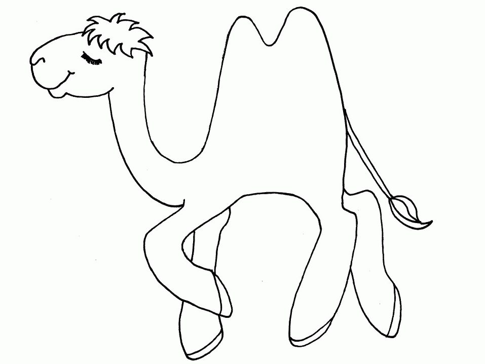 Coloring Page - Camel coloring pages 11