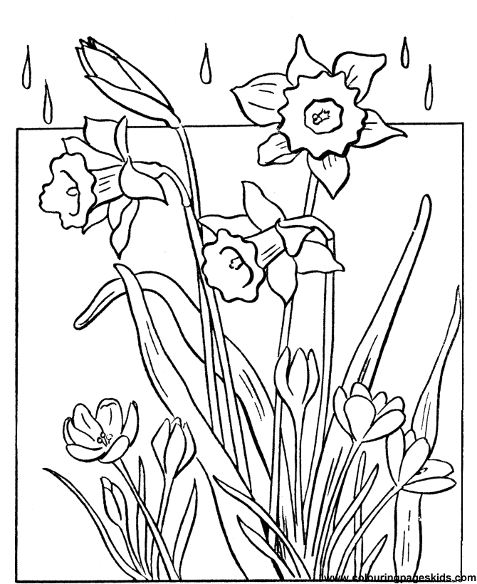 rocket rain and flowers Colouring Pages