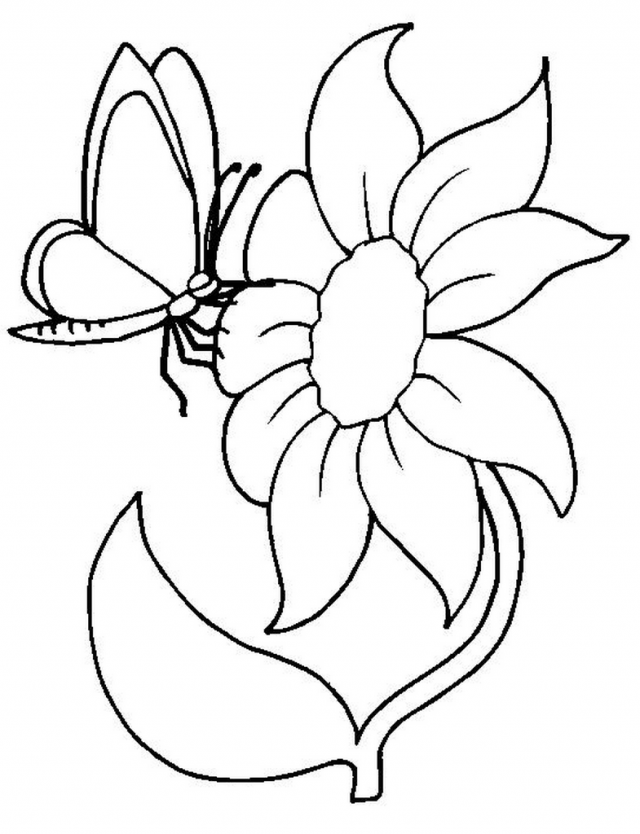 Sunflower Coloring Pictures - Coloring Home