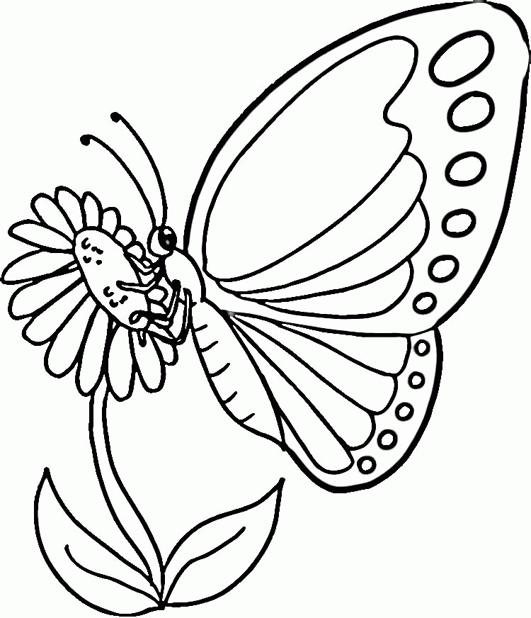 Monarch Butterfly Coloring Page - Coloring Home