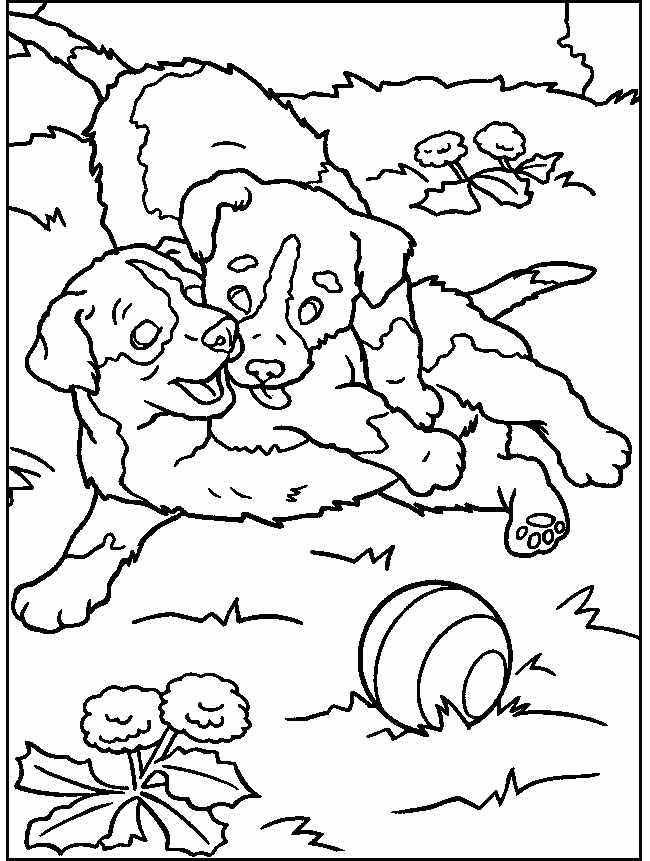 Jungle Cats Coloring - Coloring Home
