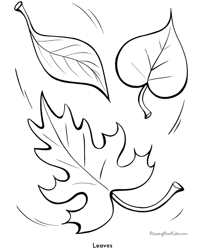 Tree Leaves Coloring Page