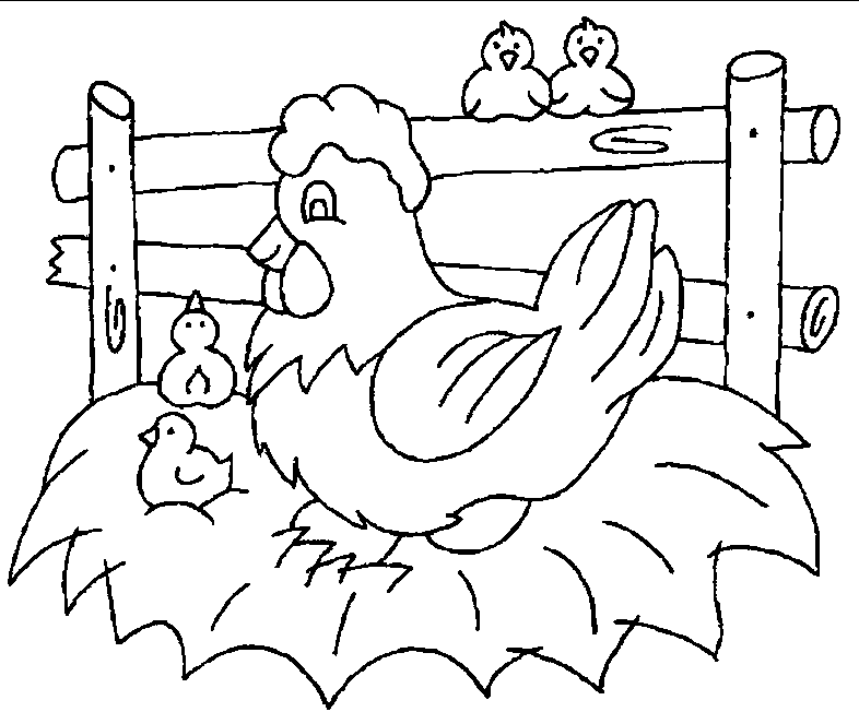 hen chicken coloring pages