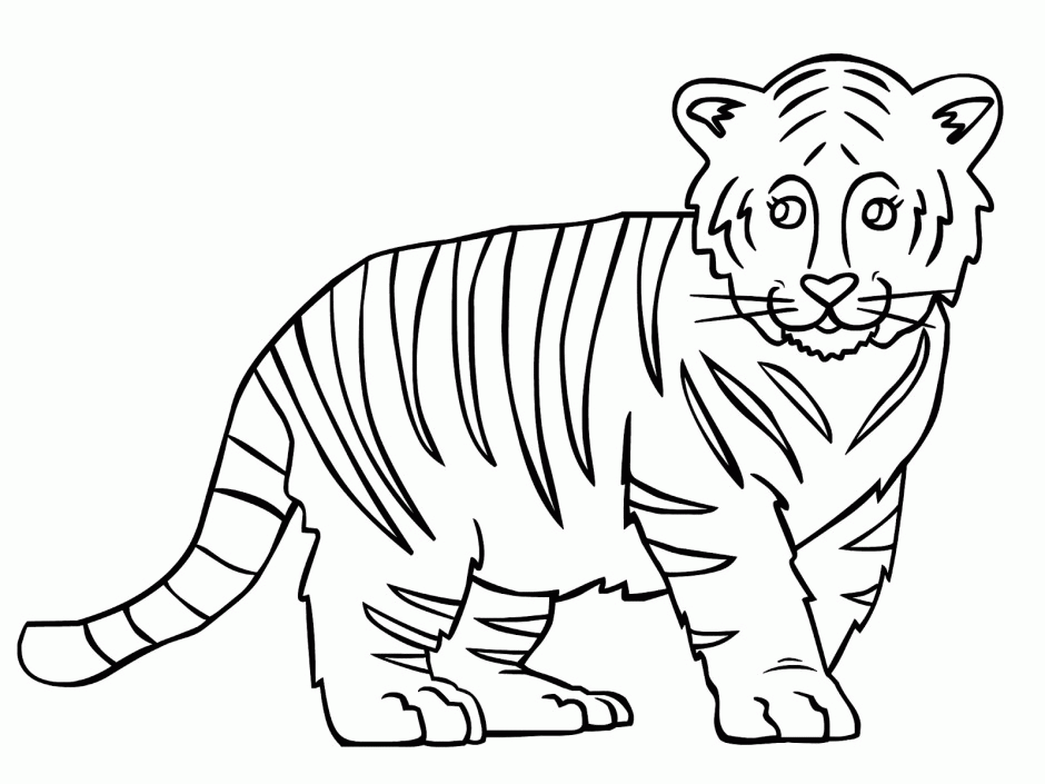 Outline Of A Tiger Coloring Home