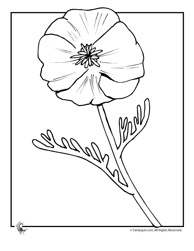 fantasy jr poppy flower coloring page