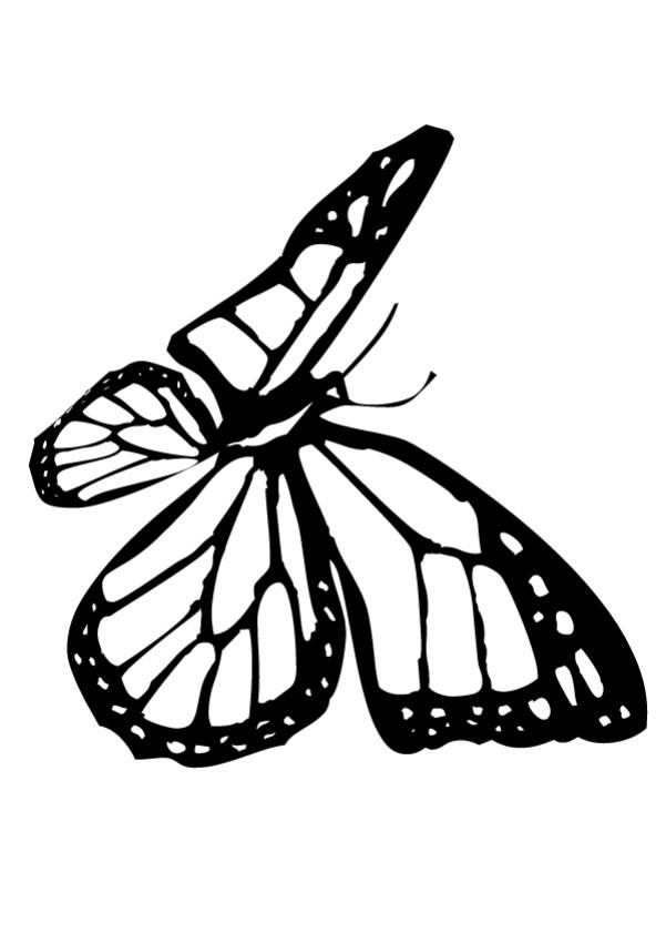 Monarch Butterfly Coloring Pages Coloring Home