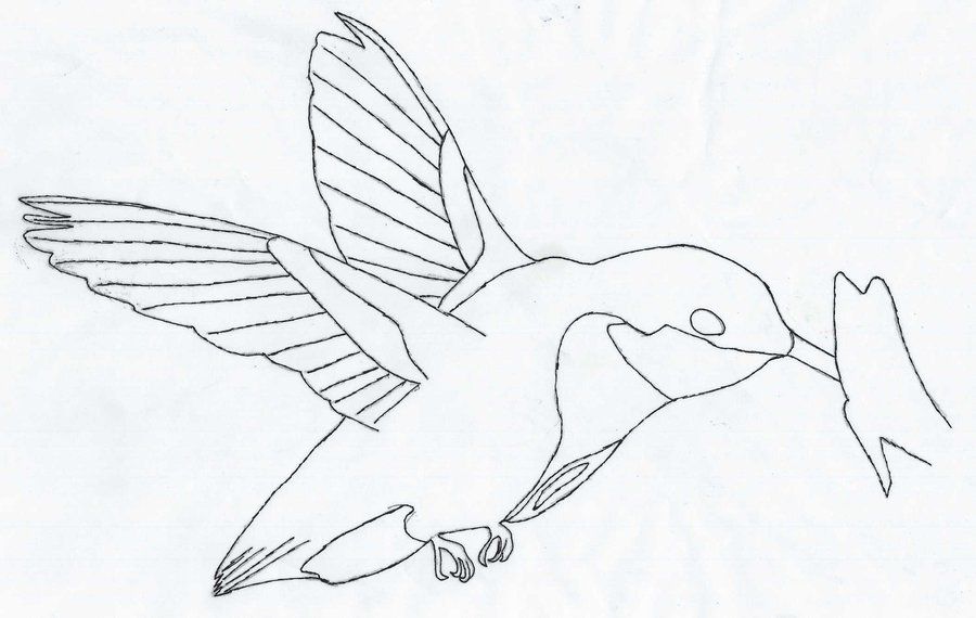 Hummingbird outline by Flock5 on deviantART