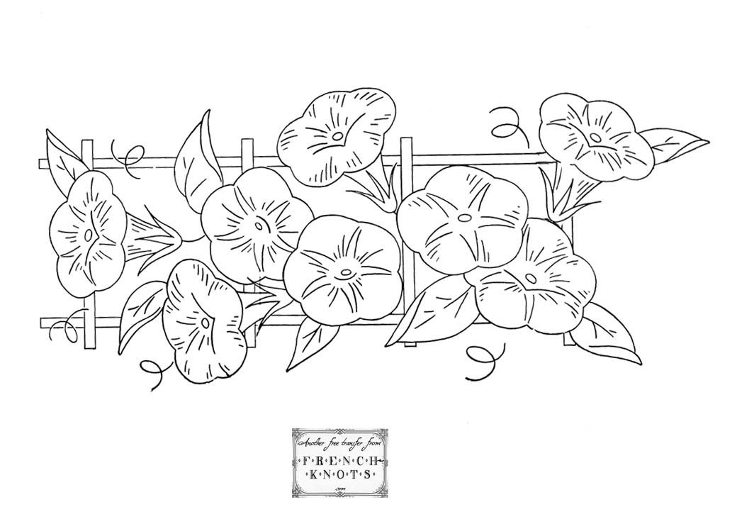 Free Morning Glory Embroidery Transfer Patterns