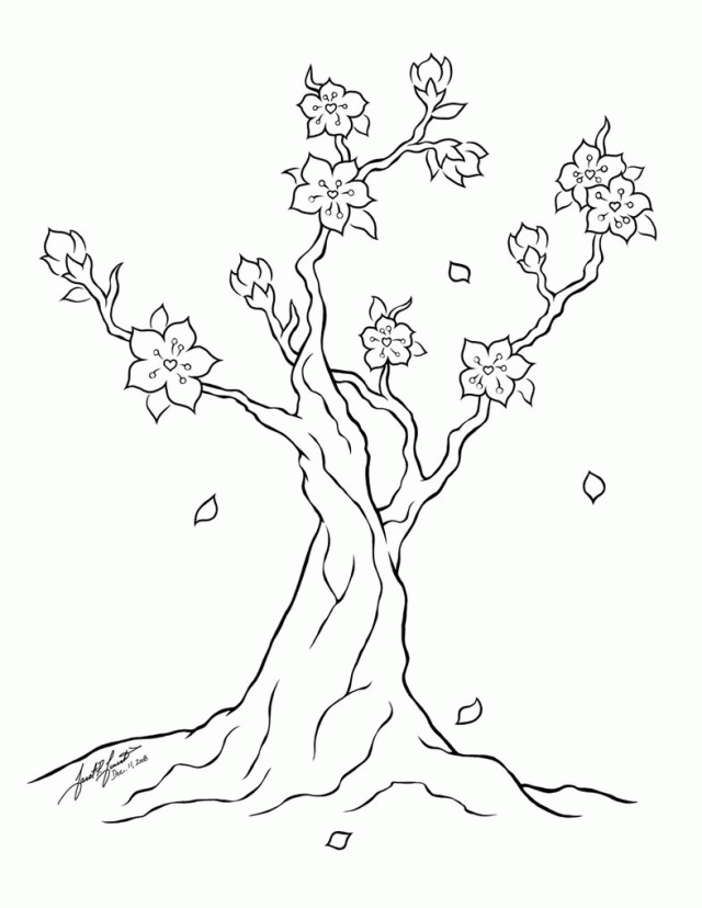 Cherry Blossom Coloring Pages Coloring Home