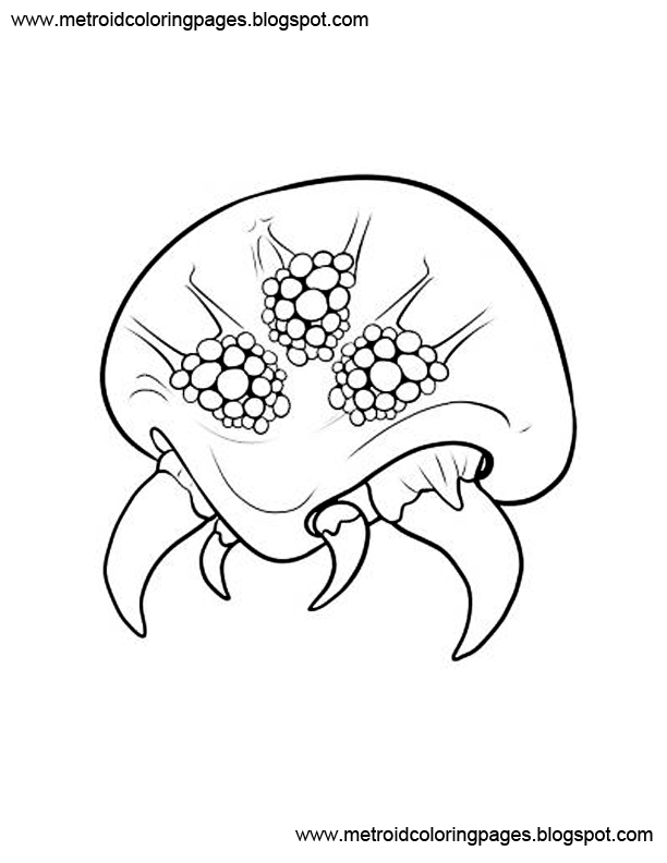433 Animal Metroid Coloring Pages for Kindergarten