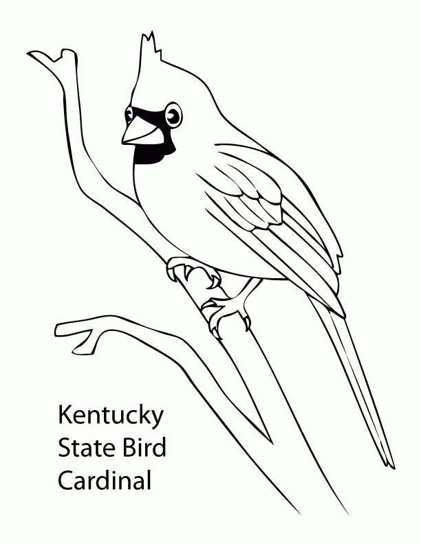 state birds coloring pages - photo #7