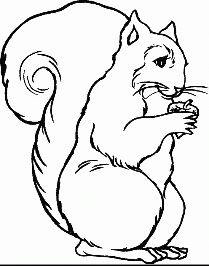 Wildlife Coloring Pages For Kids - Coloring Home